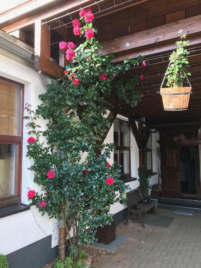 Wieko Ferienwohnungen Plauen Dış mekan fotoğraf