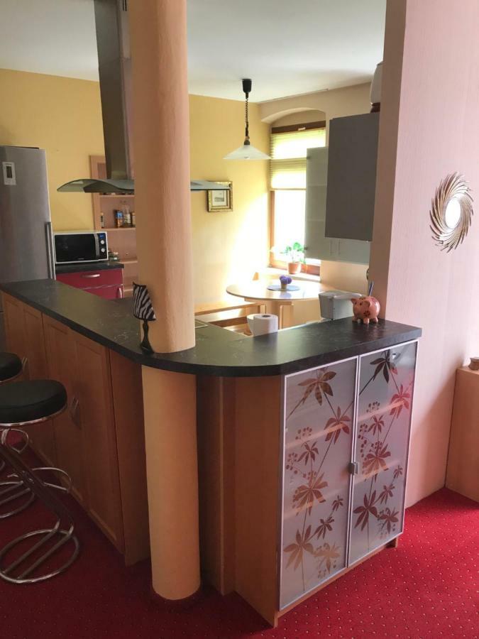 Wieko Ferienwohnungen Plauen Dış mekan fotoğraf