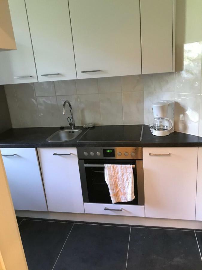 Wieko Ferienwohnungen Plauen Dış mekan fotoğraf